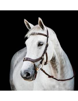 Cabezada Inglesa RAMBO MICKLEM 2 MULTIBRIDLE