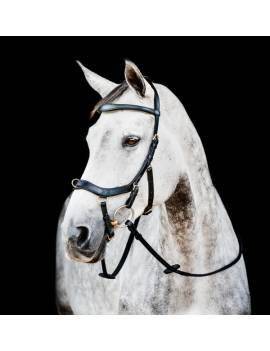 Cabezada Inglesa RAMBO MICKLEM 2 MULTIBRIDLE