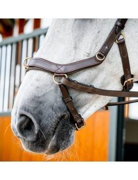 Cabezada Inglesa RAMBO MICKLEM 2 MULTIBRIDLE
