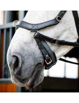 Cabezada Inglesa RAMBO MICKLEM 2 MULTIBRIDLE