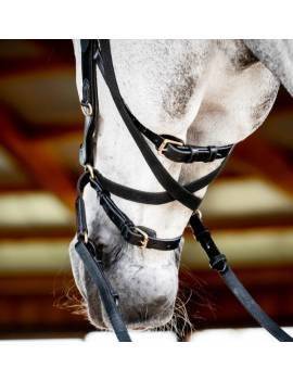 Cabezada Inglesa RAMBO MICKLEM 2 MULTIBRIDLE