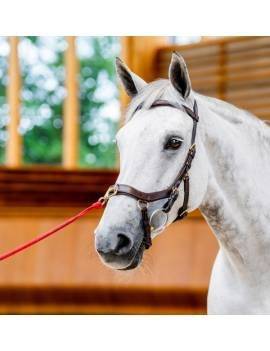 Cabezada Inglesa RAMBO MICKLEM 2 MULTIBRIDLE