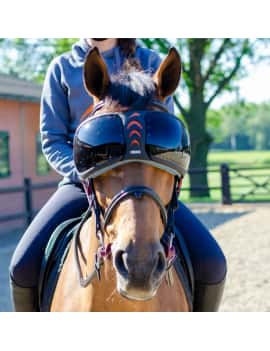 Gafas para el caballo equick color 1