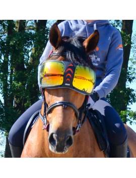 Gafas para el caballo equick color 3