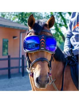 Gafas para el caballo equick color 4