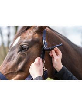 cabezada de cuadra hkm breakaway con caballo