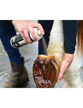 como se pone Spray Alquitrán para cascos