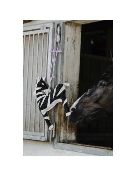 caballo jugando con juguete para box con botella que hace ruido forma de cebra