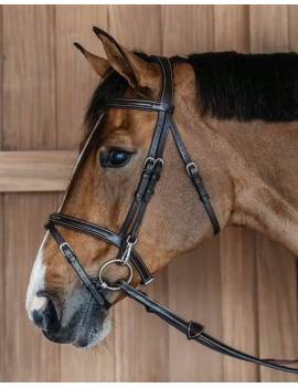 caballo con Cabezada de montar DYON de WORKING COLLECTION WOAPG