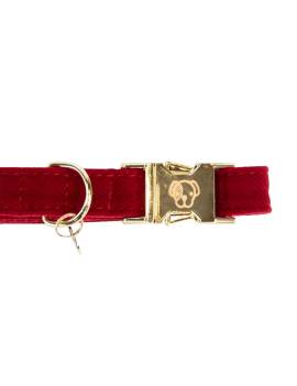 collar pana terciopelo perro kentucky corduroy rojo