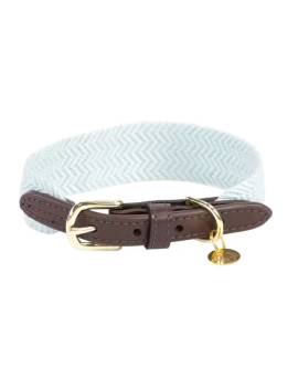 collar perro plana kentucky jacquard celeste