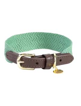 collar perro plana kentucky jacquard verde