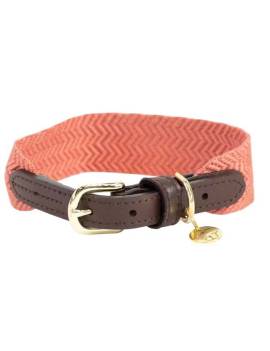 collar perro plana kentucky jacquard naranja