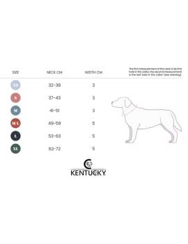 tabla medidas collar perro plana kentucky jacquard