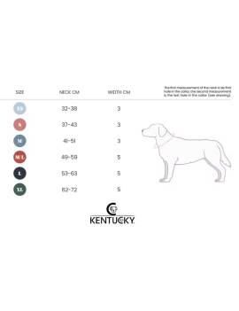 tabla medidas collar perro plana kentucky jacquard