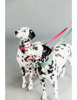 correa perro plana kentucky jacquard rosa y verde