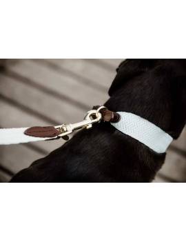 correa perro plana kentucky jacquard celeste