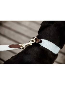 correa perro plana kentucky jacquard celeste