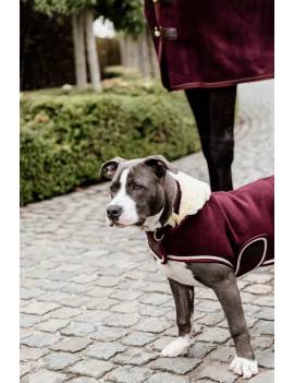 perro con abrigo granate con borreguito  kentucky heavy fleece