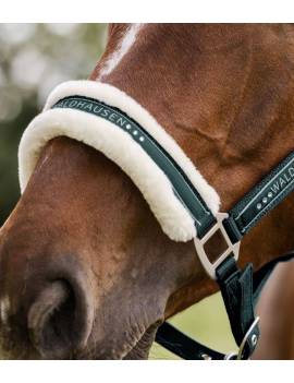 muserola cabezada de cuadra caballo con borreguito verde waldhausen elegant