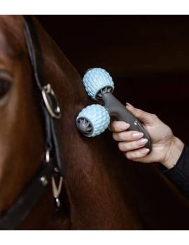 rodillo masaje caballo de mano waldhausen