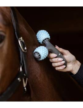 rodillo masaje caballo de mano waldhausen
