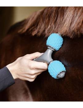 uso del rodillo masaje caballo de mano waldhausen