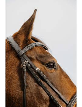 lateral cabezada de montar caballo norton club strasss con frontalera en v