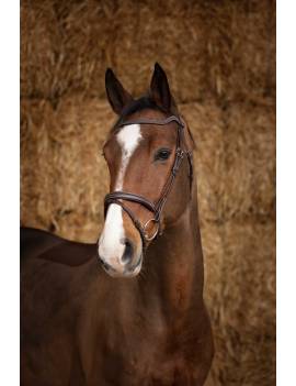 cabezada de montar caballo norton wave con frontalera brillantes