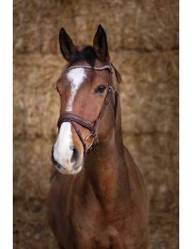 cabezada de montar caballo norton miss con frontalera brillante y curva