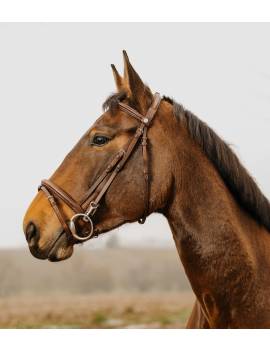 lateral cabezada de montar caballo norton easy con clip mosquetón filete