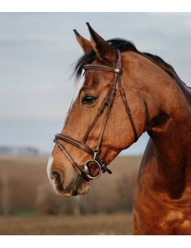 cabezada de montar caballo norton easy con clip mosquetón filete