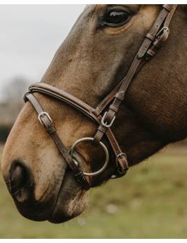 muserola cabezada de montar caballo norton clasica deco