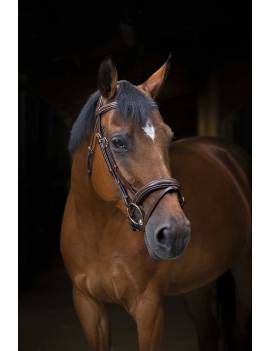 cabezada de montar caballo eric thomas wave muserola curva