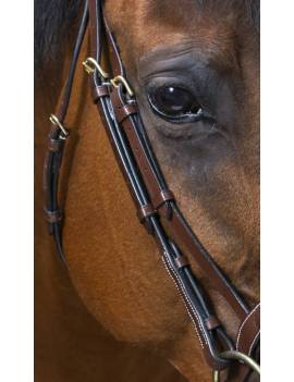 lateral cabezada de montar caballo eric thomas wave muserola curva