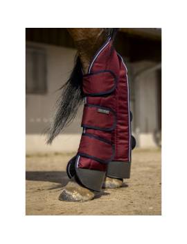 protectores traseros de transporte para viaje caballo equitheme granates