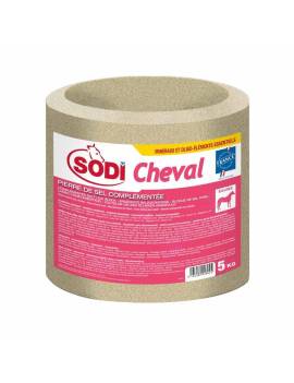 bloque grande de sal caballo sodi cheval con vitaminas