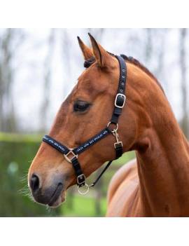 cabezada de cuadra caballo azul marino hv polo nena