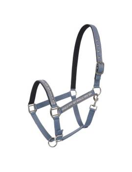 cabezada de cuadra caballo gris hv polo nena
