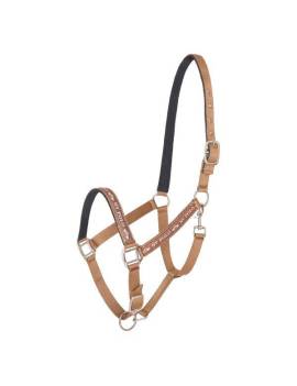 cabezada de cuadra caballo marrón hv polo nena