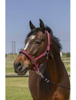 cabezada de cuadra caballo shettland poni pequeño norton 4lines roja