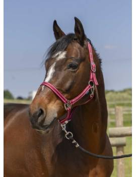 cabezada de cuadra caballo shettland poni pequeño norton grooming roja