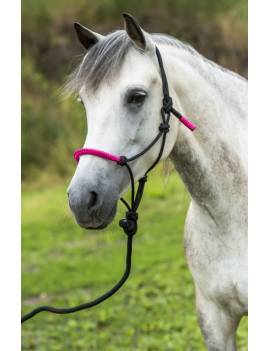 cabezada de cuadra caballo etologica de cuerda con nudos norton con ramal
