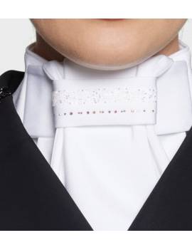 detalles plastrón doma blanco con swarovki samshield