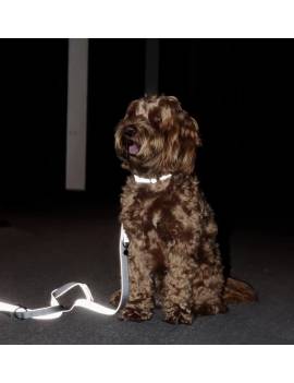 perro con collar de perro reflectante gris kentucky horsewear