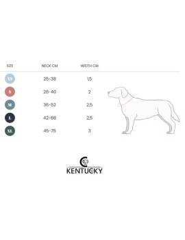 medidas collar de perro reflectante gris kentucky horsewear