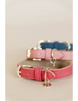 collar de perro vegana kentucky horsewear