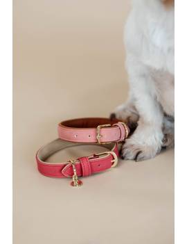 collar de perro vegana kentucky horsewear naranja y rosa
