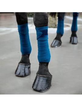 caballo con vendas polares caballo terciopelo azul marino kentucky