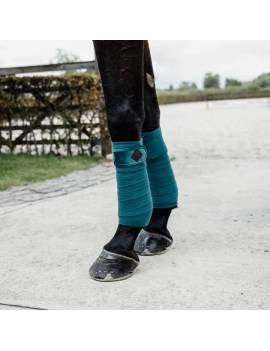 vendas polares caballo terciopelo verde aguamarina kentucky